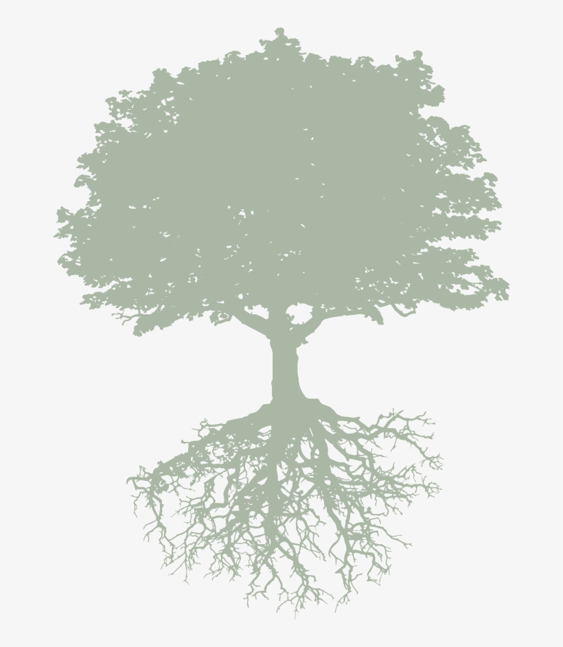 Picture - Lies: Ann Putnam Jr.'s Recounting, transparent png #2958631