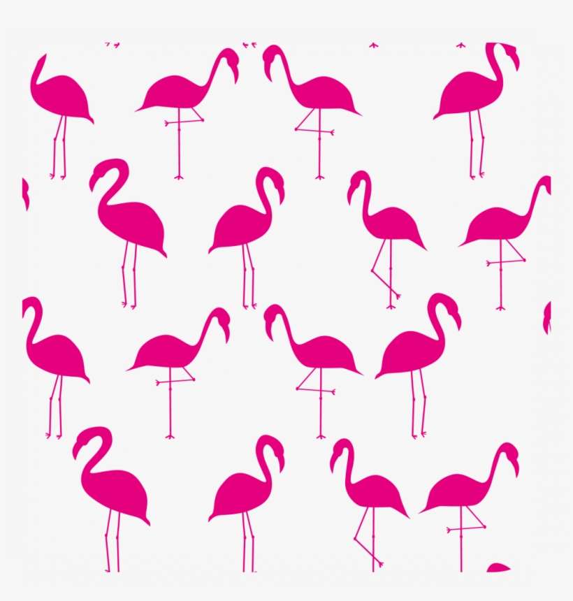 1,50 € Extra En Este Producto - Flamenco, transparent png #2959250