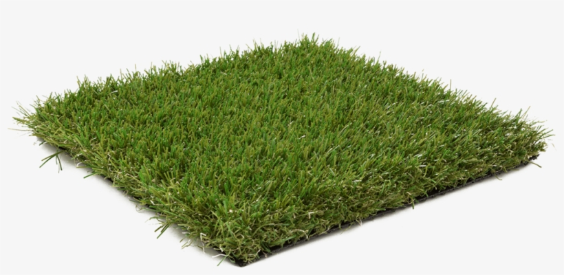 Highland - Lawn, transparent png #2959944