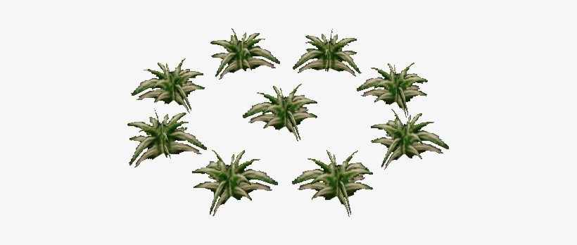 Zelda Majora's Mask Grass, transparent png #2960046