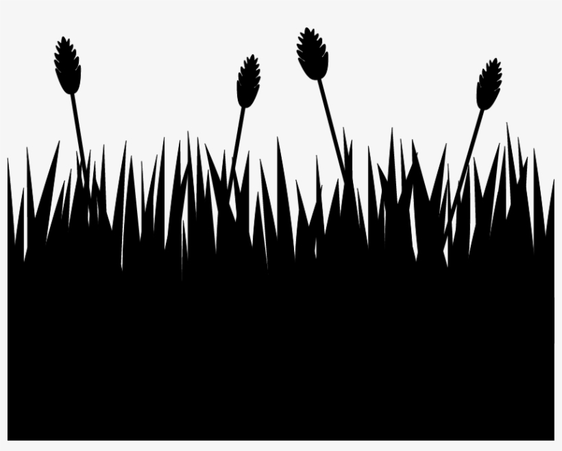 28 Collection Of Rye Field Drawing - Flower Field Silhouette Png, transparent png #2960090
