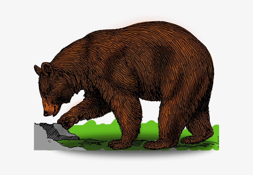 Bear Free To Use Cliparts - Bear Clipart, transparent png #2960296