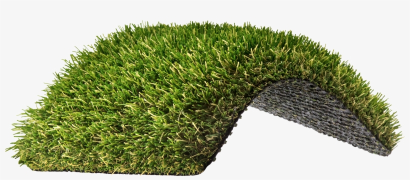 Southwest Inspired - Hedge, transparent png #2960405