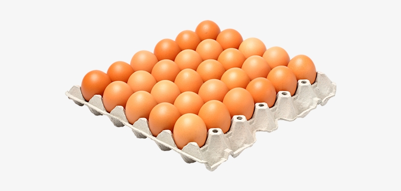Huevos Aa Cubeta - Fresh Eggs Or Shell Eggs, transparent png #2960448