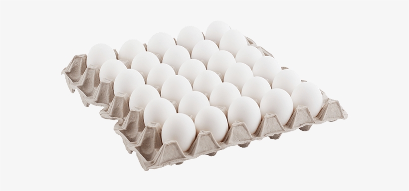 Čerstvá Vejce M30 Ks - Bílá, transparent png #2960598
