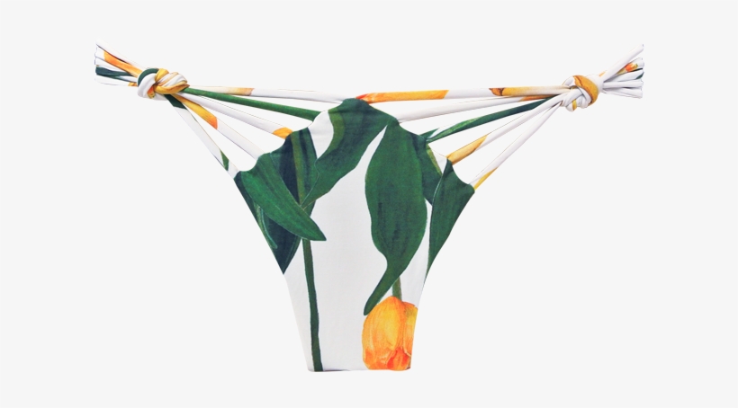 Botanica Flowerfield V Knot Bottom - Thong, transparent png #2960601