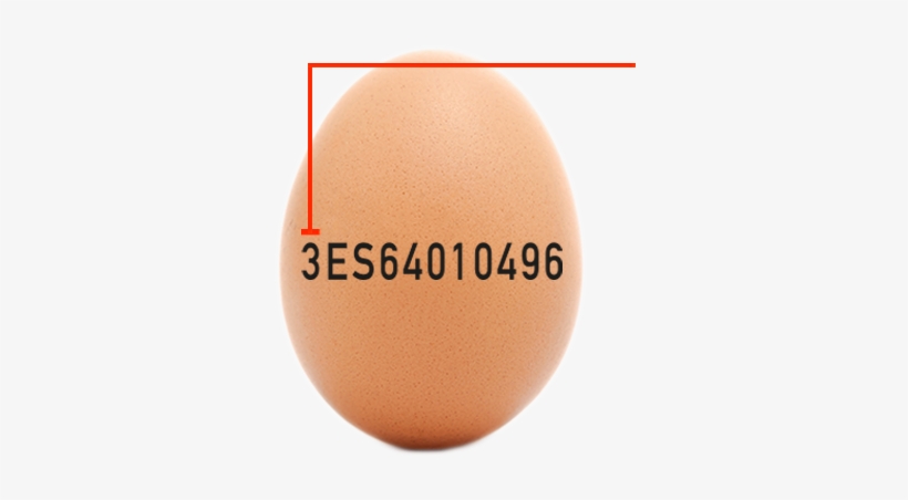 ¿qué Tipos De Huevos Hay En El Mercado - Clases De Huevos, transparent png #2960832