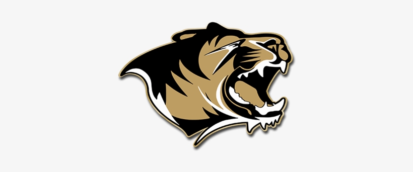 Photo - Bentonville High School Tiger, transparent png #2960833