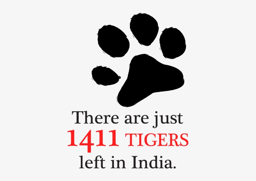Save Tigers-ours National Animal » Aaaadbddtigaaaaaalfxrq - Save Tigers In India, transparent png #2960914