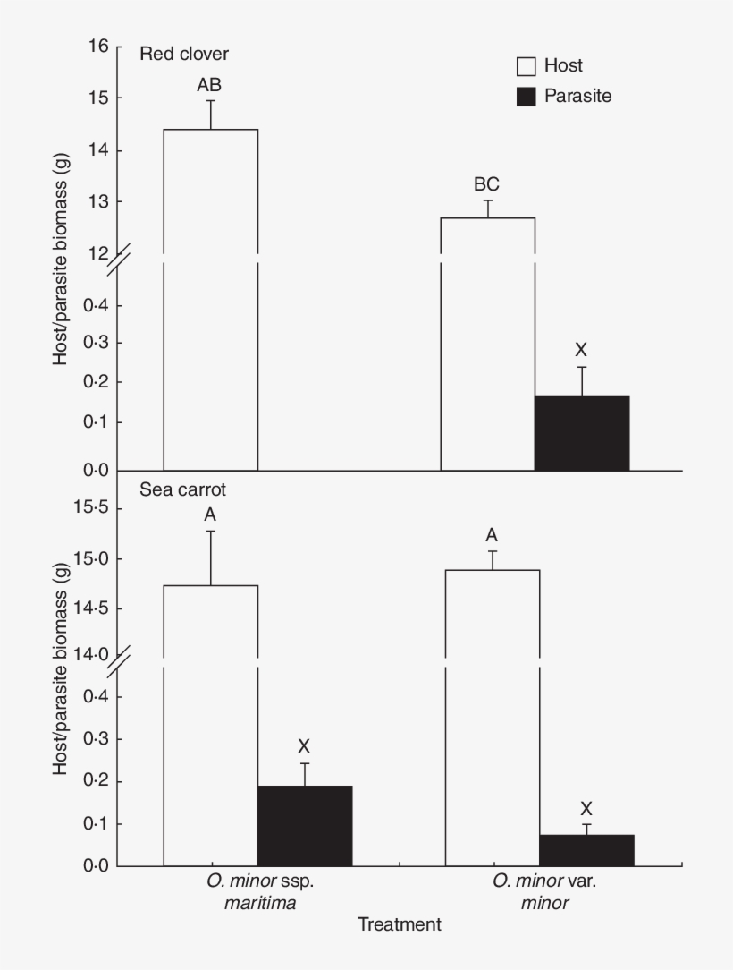 Host And Parasite Biomass Harvested From Pot-cultivated - Diagram, transparent png #2961157