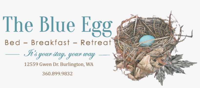 Black Background - Portable Network Graphics, transparent png #2961765