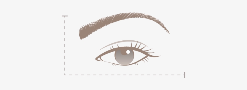 Selected Placeholder Image - Close-up, transparent png #2963115