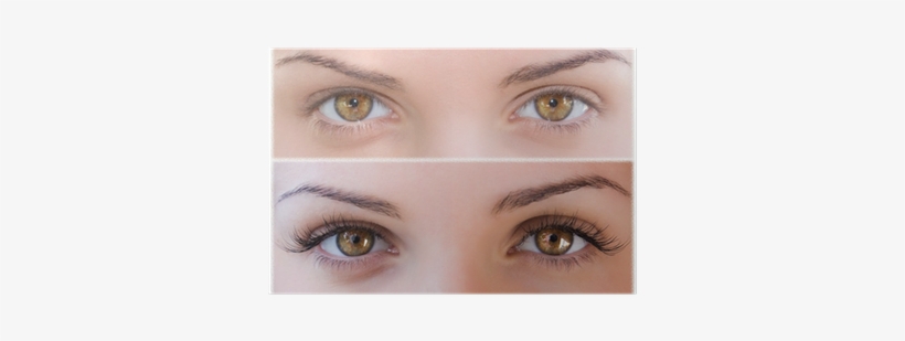 Don T Have Eyelashes, transparent png #2963119