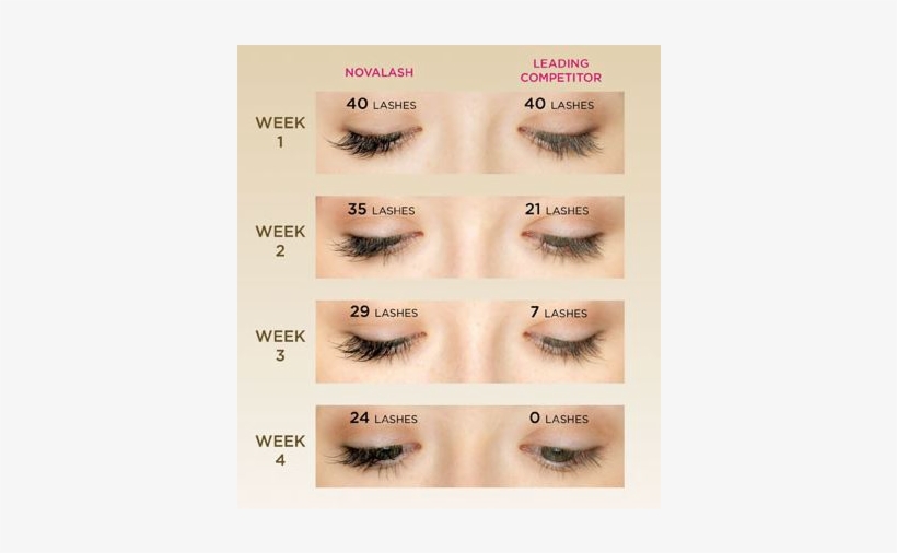 Eyelash Png Download - Lash Extensions After 4 Weeks, transparent png #2963148