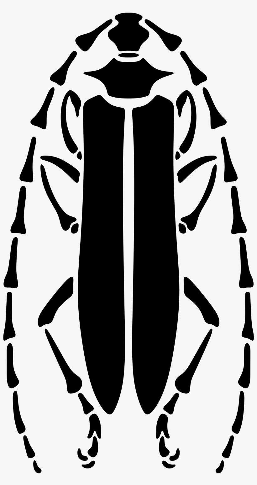 This Free Icons Png Design Of Longhorn Beetle Stencil, transparent png #2963375
