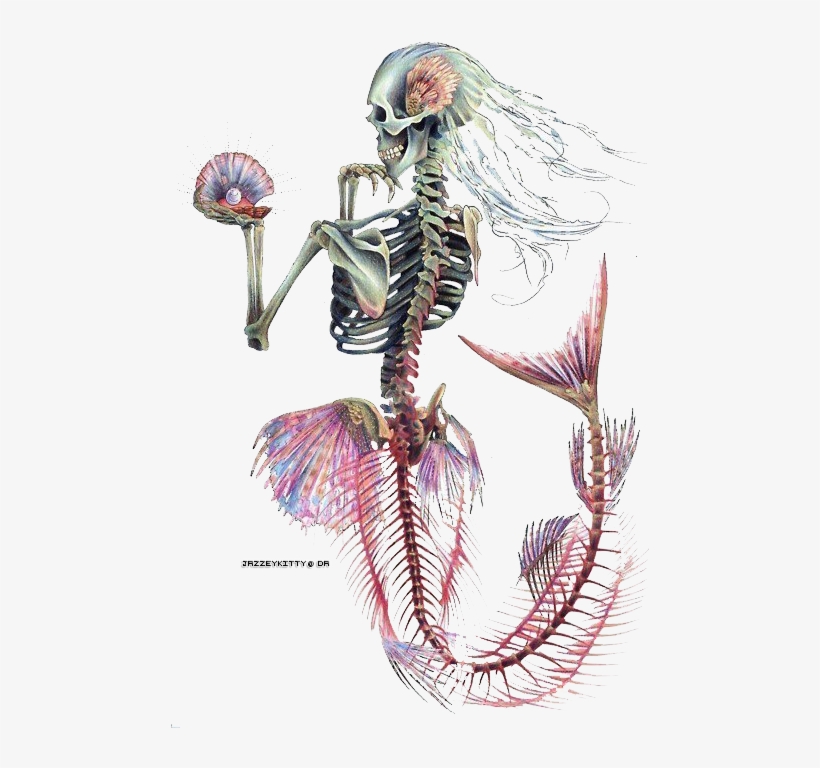 Tattoo Designs, Tattoo Ideas, Mermaid Skeleton, Skeleton - Mermaid Skeleton Tattoo Design, transparent png #2963414