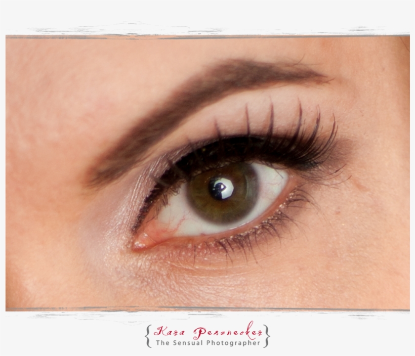 Portland Boudoir - Eye Shadow, transparent png #2963498