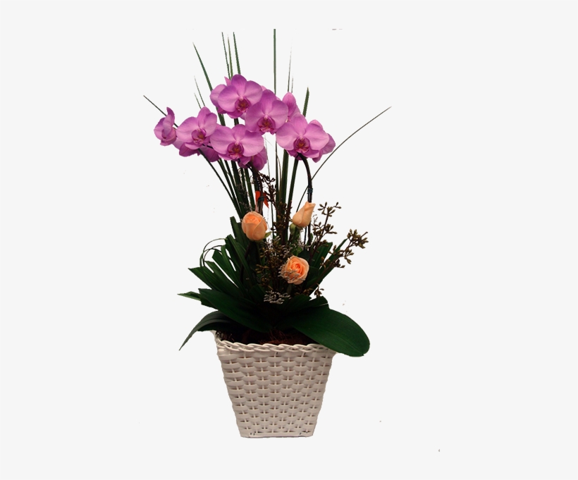 Orquídea Lilas Com 02 Hastes - Vaso De Orquidea Png, transparent png #2963784