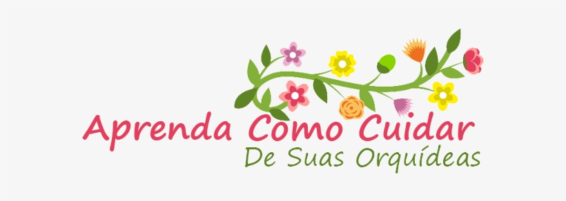 Como Cuidar De Orquideas - Orchids, transparent png #2963881