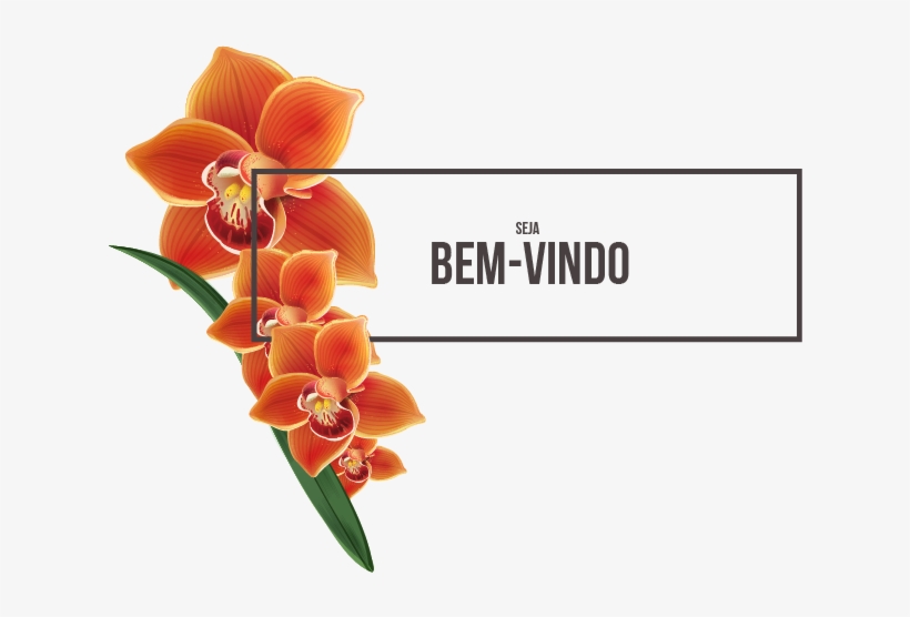 O Bistrô E Pousada Orquídea Café É A Sua Melhor Opção - Orchids Of The Philippines, transparent png #2963897