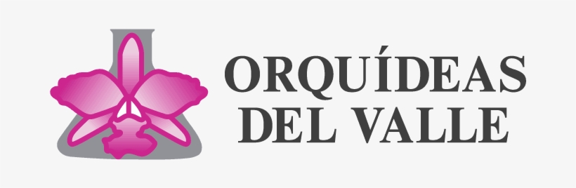 Orquideas Del Valle, transparent png #2963965