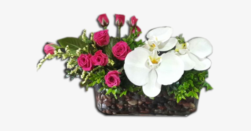 Orquídeas Y Rosas - Photography, transparent png #2964168