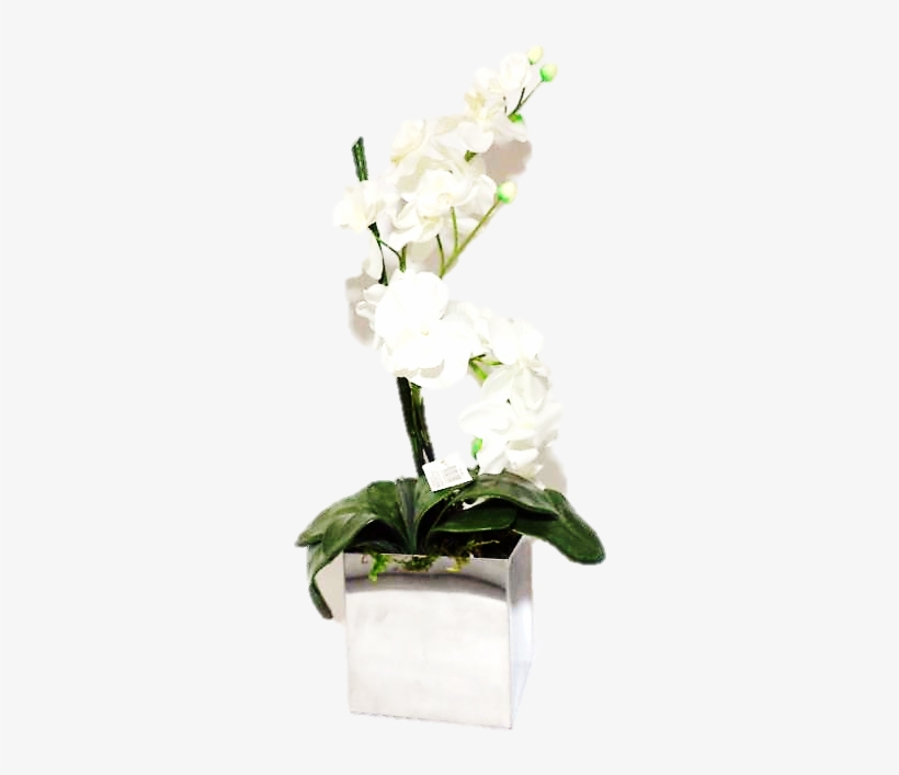Arranjo Orquídea Branca, Vaso Inox Quadrado Cod - Vaso Com Orquidea Png, transparent png #2964196