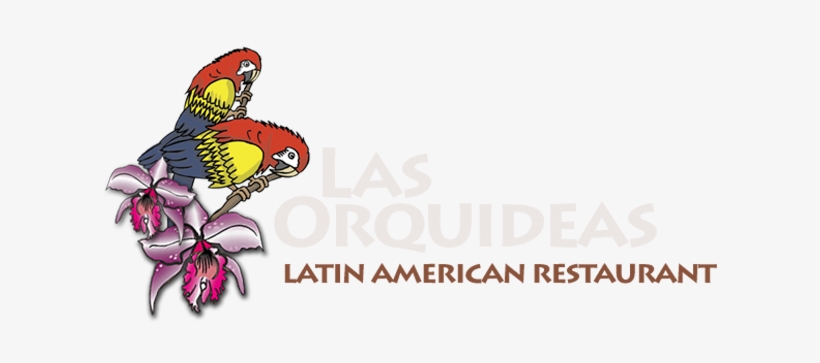 Restaurant Las Orquideas, transparent png #2964397