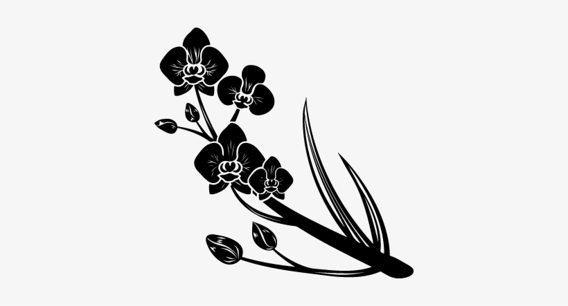 Vinilo Decorativo Orquídeas - Black Women And Singlehood: From Our Perspective, transparent png #2964417