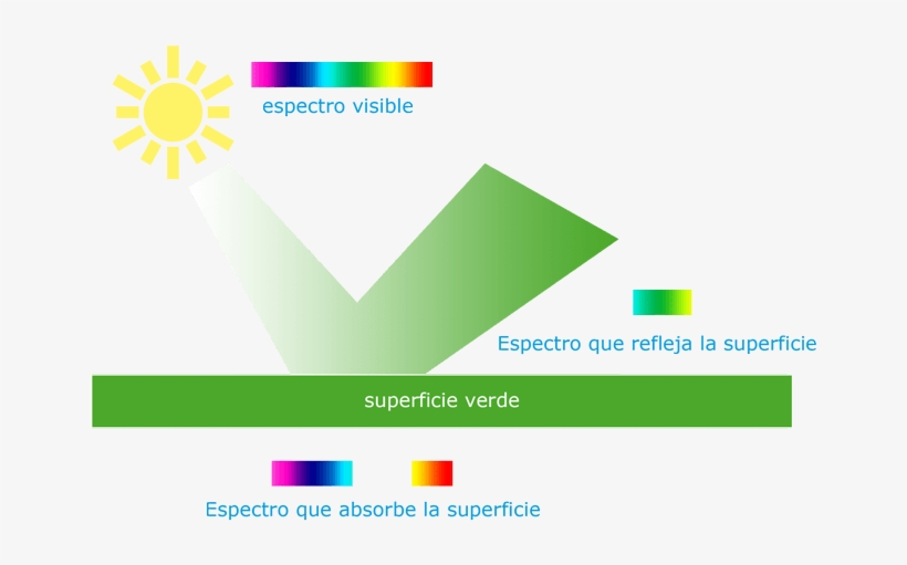 Reflexión De La Luz - Photography, transparent png #2965571