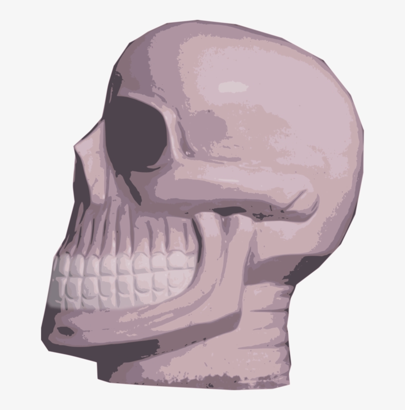 Nose Skeleton Skull Jaw Mouth - Skull, transparent png #2966696