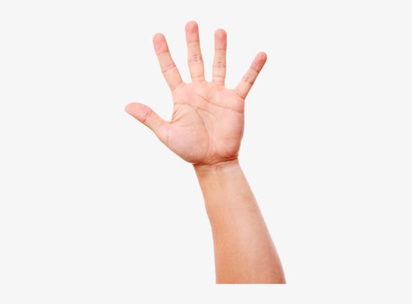 I Don't Drink Alcohol, Smoking, Nor Doing Illegal Drugs - Capsule, transparent png #2966852