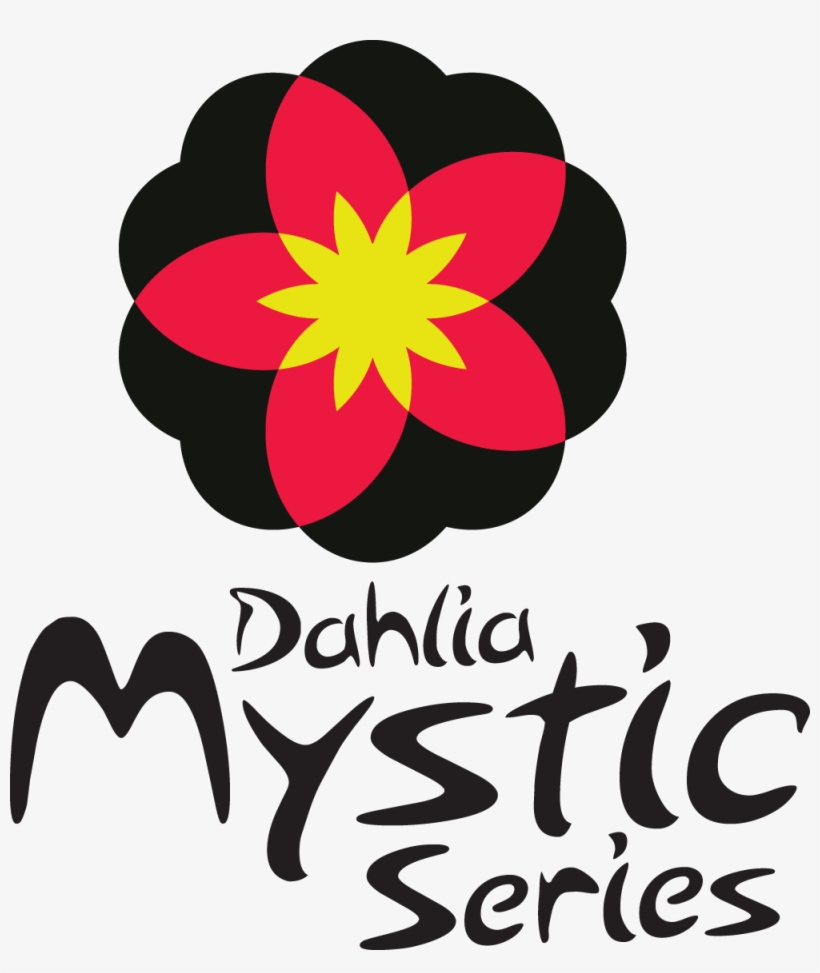 Dahlia Mystic Wonder Pbraf - Dahlia, transparent png #2967262