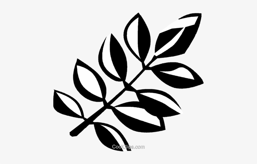 Algarrobo Negro Libres De Derechos Ilustraciones De, transparent png #2967640