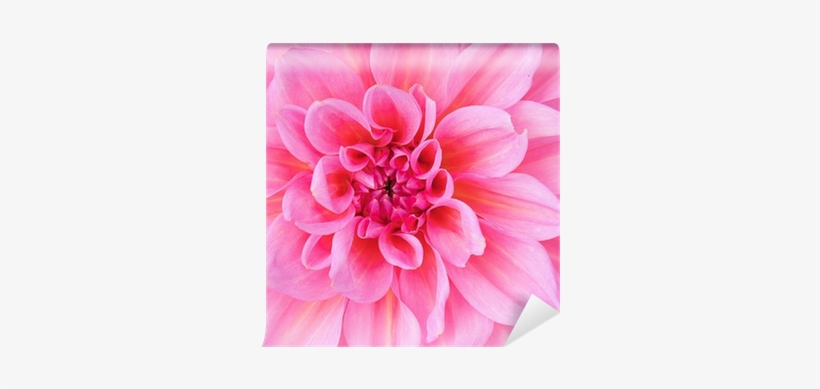 Painting, transparent png #2967916