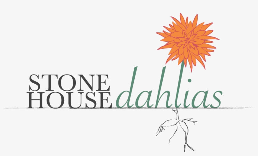 Now Taking Orders For Spring - Stanford Graduate School Of Business, transparent png #2968053