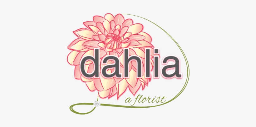 Dahlia A Florist, transparent png #2968097
