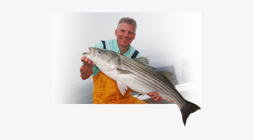 Click Here To Visit New England Fishing - New England Fish, transparent png #2968263