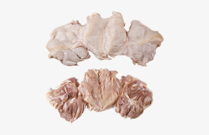 Seafood, transparent png #2968448