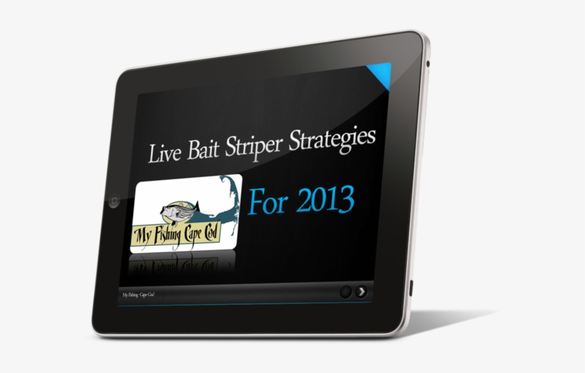 Ipadhorizontalleft - Fishing, transparent png #2968502