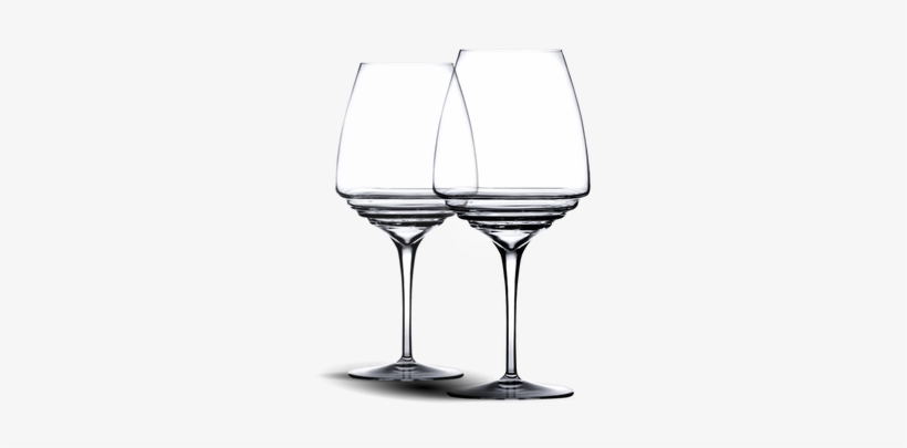 La Colección Italiana “esperienze” De Copas De Degustación - Wine Glass, transparent png #2969171