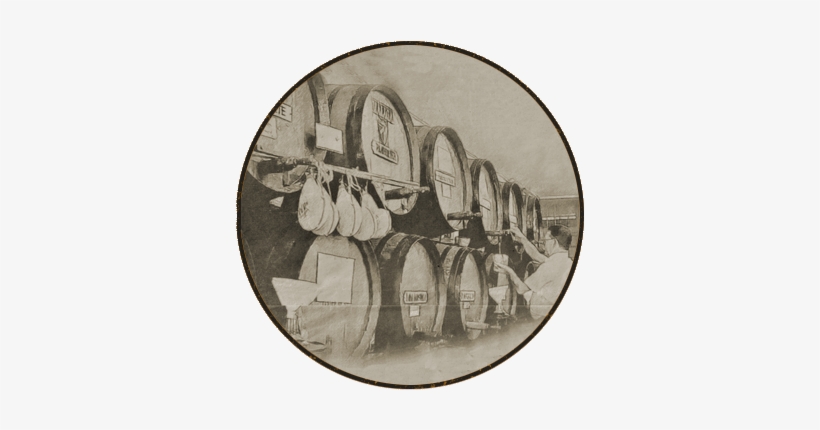 Diapositivas-3 - Reversal Film, transparent png #2969295