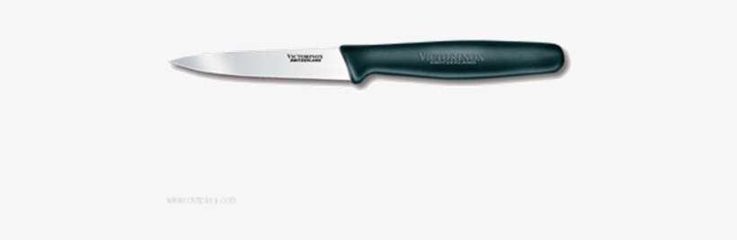 Victorinox 40600 Paring Knife,3-1/4, transparent png #2969734