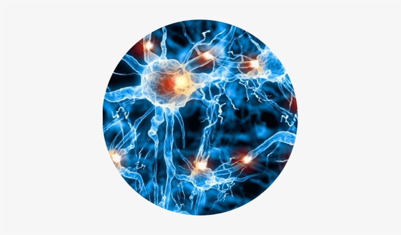 Damaged-nerves - Moving Pictures Of Science, transparent png #2970314