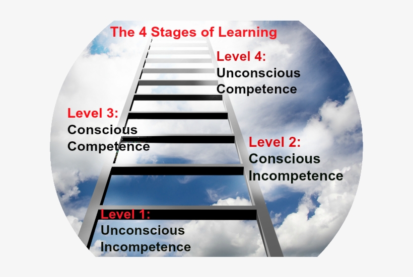 4 Stages Ladder - Ladder To The Sky, transparent png #2970735