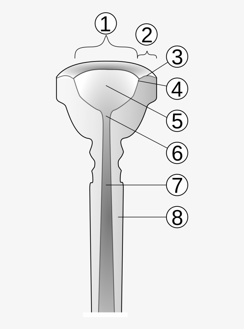 Trumpet Mouthpiece Cut-away Numbered - Trumpet Mouthpiece Diagram, transparent png #2971371