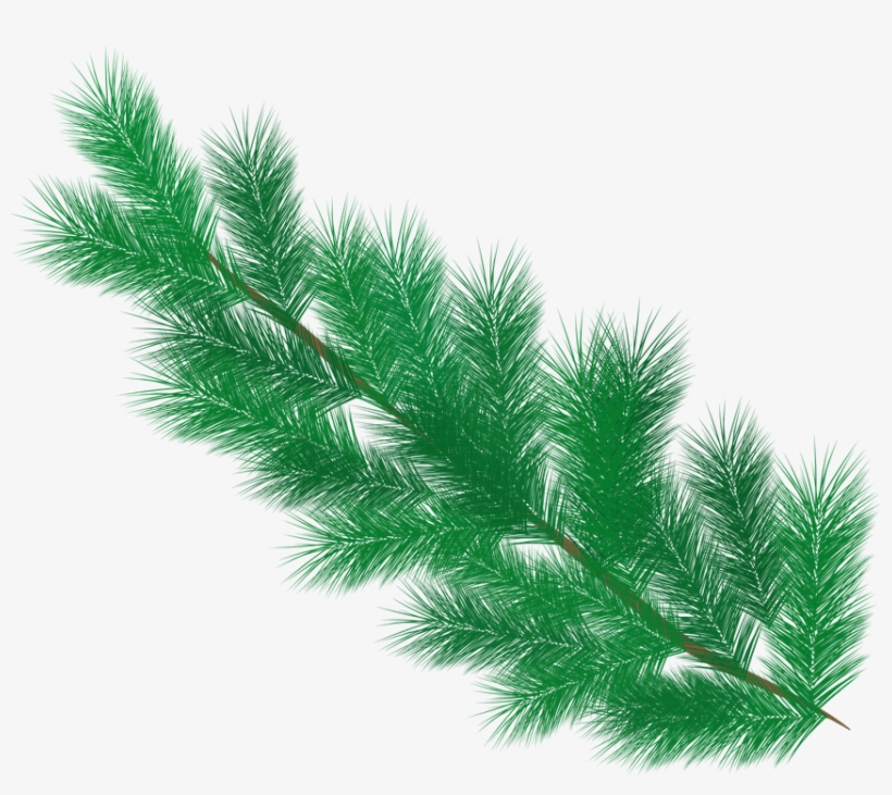 Fir, Branch, Pine Needles, Needles, Winter, Green - Pine, transparent png #2971838