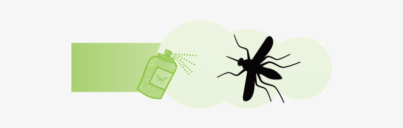 Can Of Repellent Spraying A Mosquito - Mosquito, transparent png #2972619