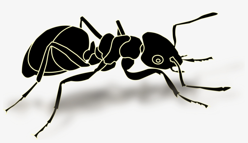 Big Image - Formiga Png, transparent png #2972982
