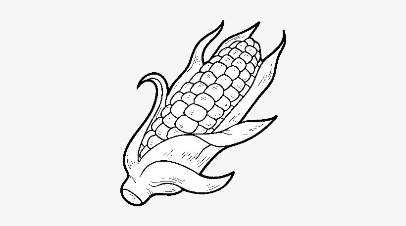 Maiz Dibujo Png - Maiz Dibujo, transparent png #2973012